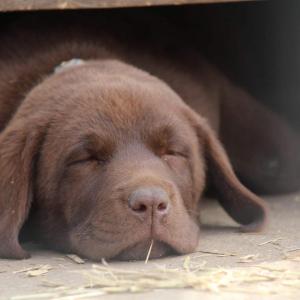 CC508684-D06E-40D5-99E6-E9A9BE10670B