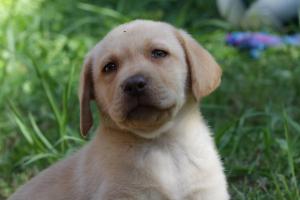 PHOTO-2020-04-25-18-39-02 3