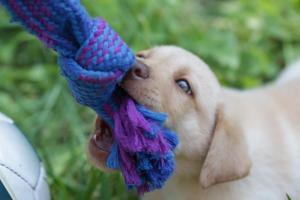 PHOTO-2020-04-25-18-39-03 2