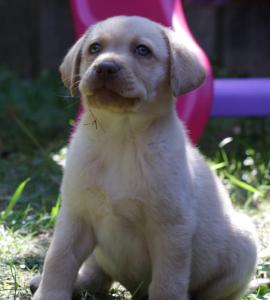 PHOTO-2020-04-25-18-39-03 3